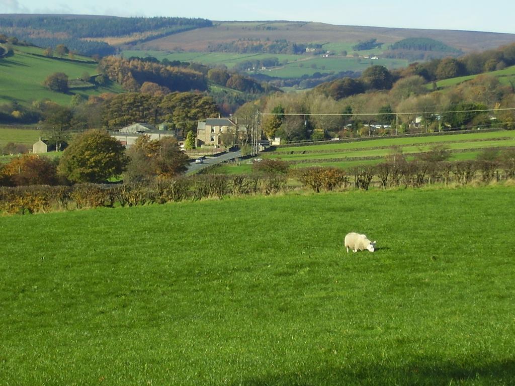 Barnfield House Guest house 4*
