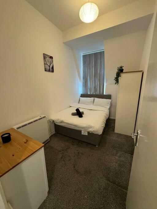 Center Gem- Flat For 6 In Gs404 * Sheffield