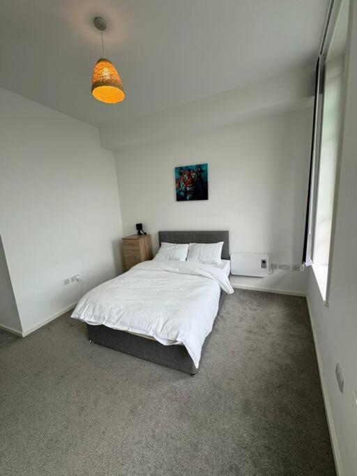 Spacious Flat In Center Gs304