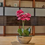 Refurbished Central Premium Property