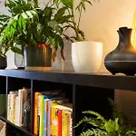 Modern Retreat - 2Bd Apt With Lush Greenery At Sheffield