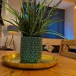 Artistic, Cozy, Stylish, Open Plan, City Centre 1Br
