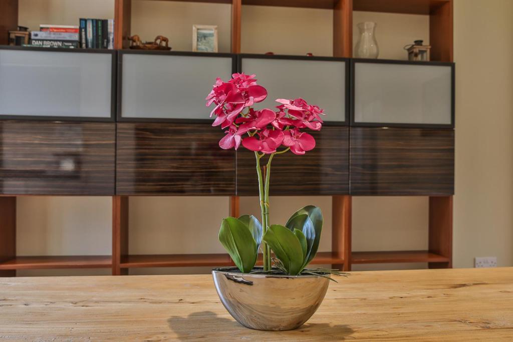 Refurbished Premium Holiday home