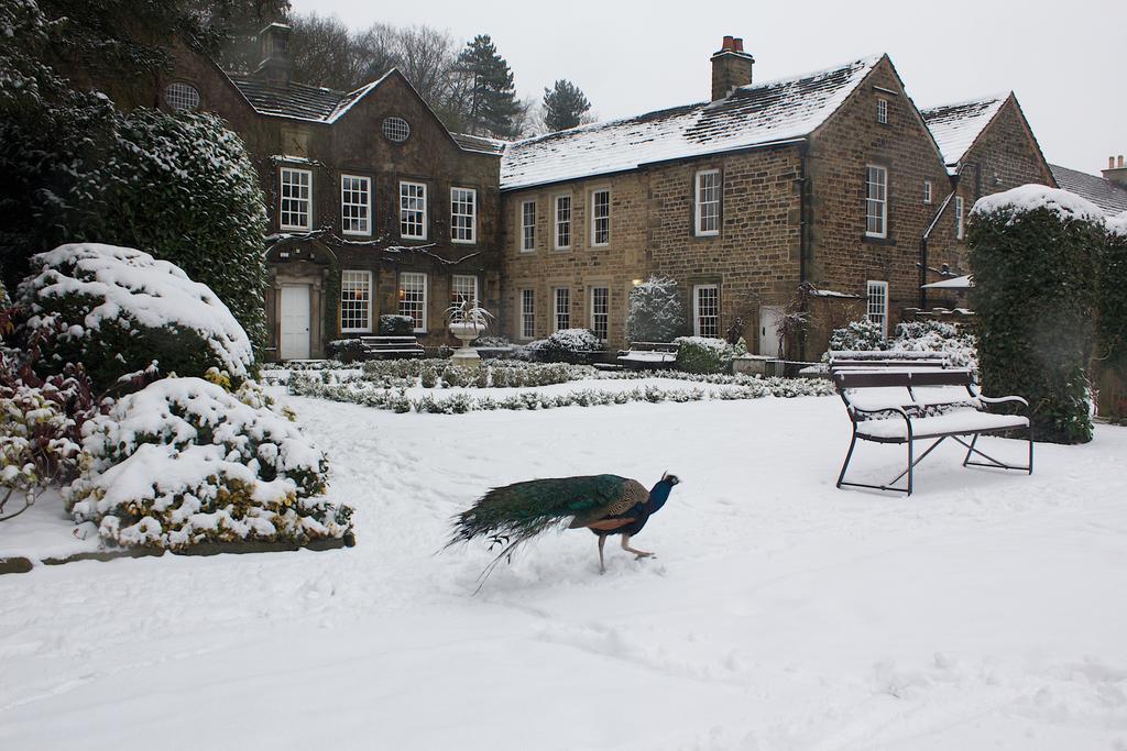 Whitley Hall Hotel Sheffield