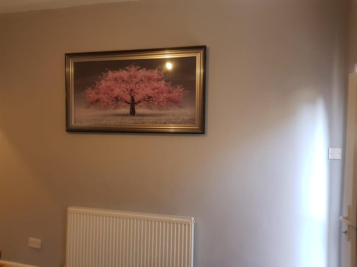 Guest house Highfields Living - Ensuite- Free Wifi- Free Local Parking Sheffield