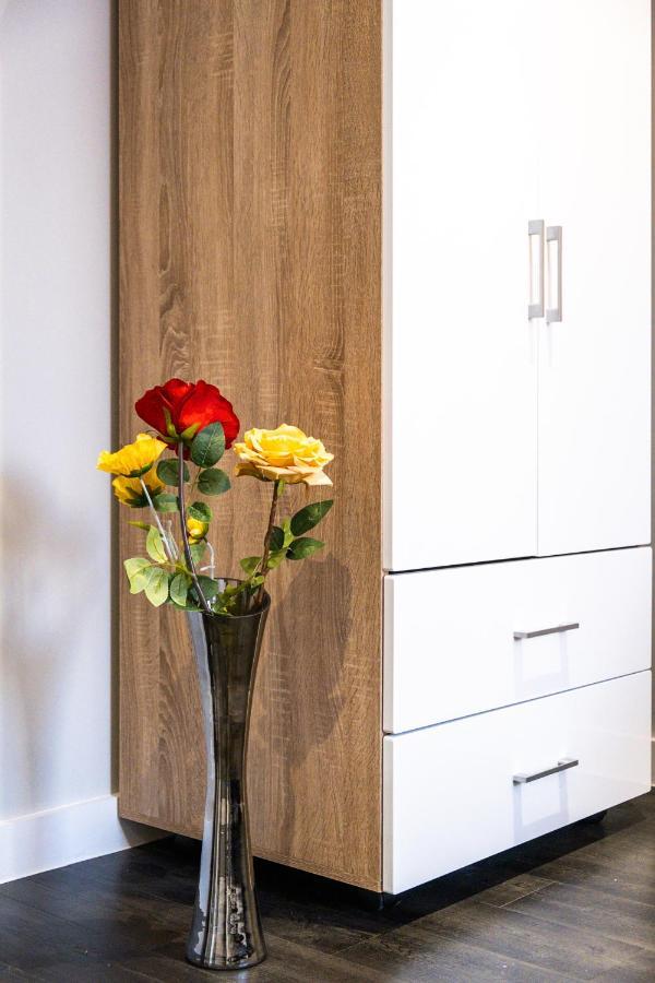Smiling- The Fitzgerald Apartment Sheffield