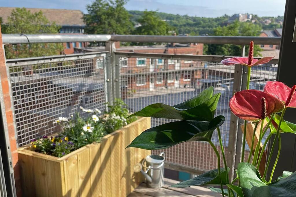 Spacious Private Flat In Centre * Sheffield