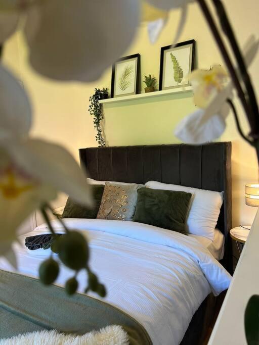 Stylish Close To Arena * Sheffield