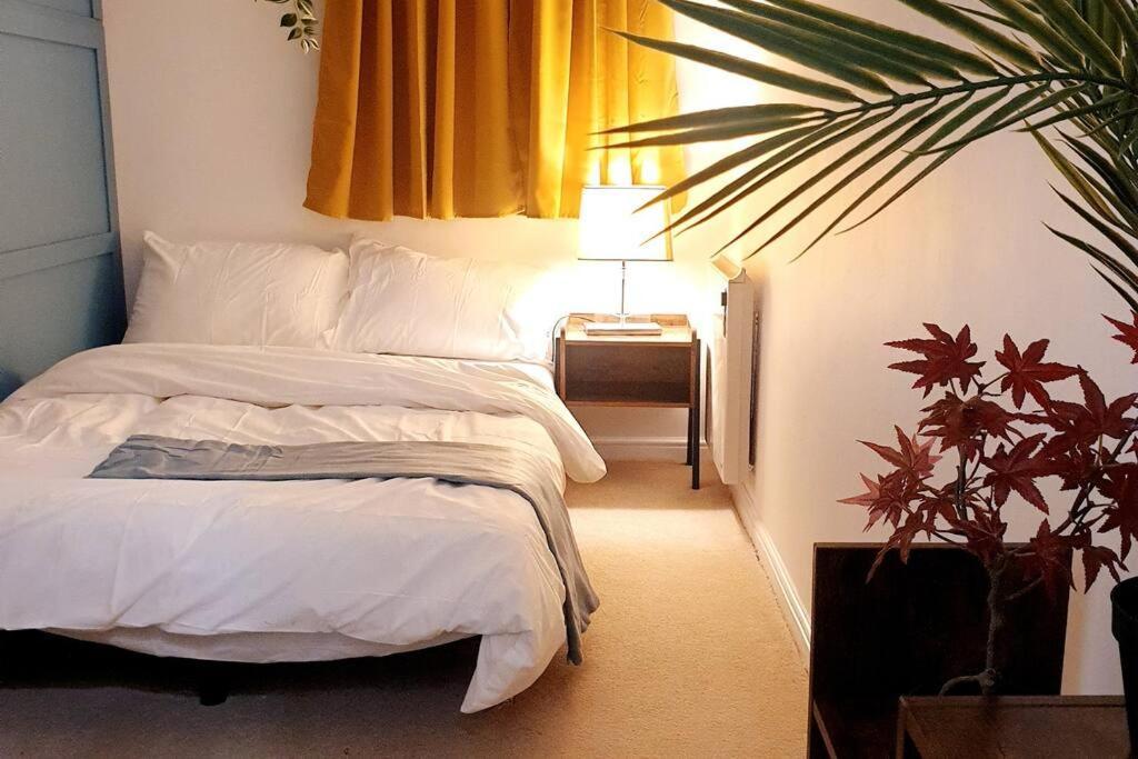 Apartment Hyde Park - Park Hill - - 2 Bedrooms - Free On-site Parking - Netflix - Fast Wifi *