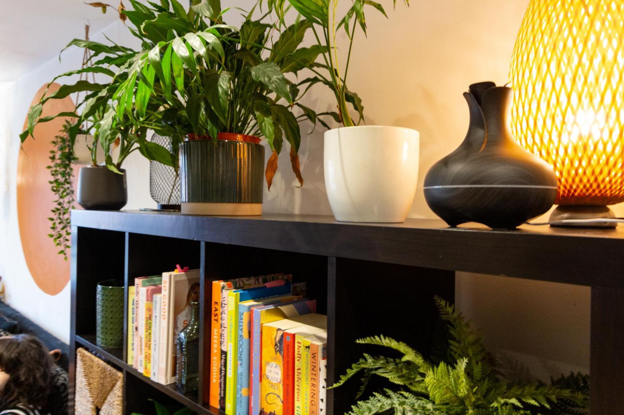 Apartment Modern Retreat - 2bd With Lush Greenery At Sheffield