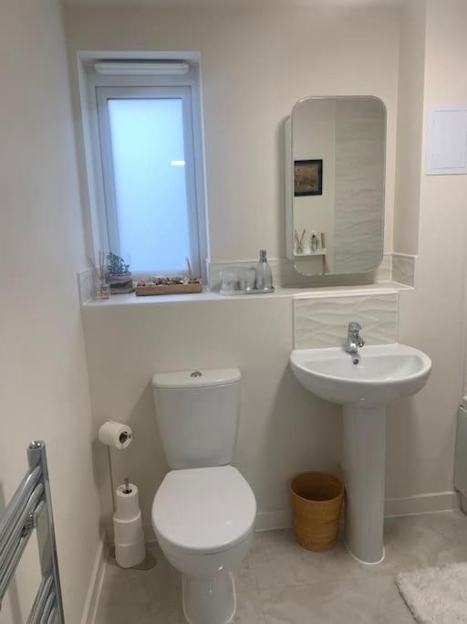 Apartment Luxury Let In