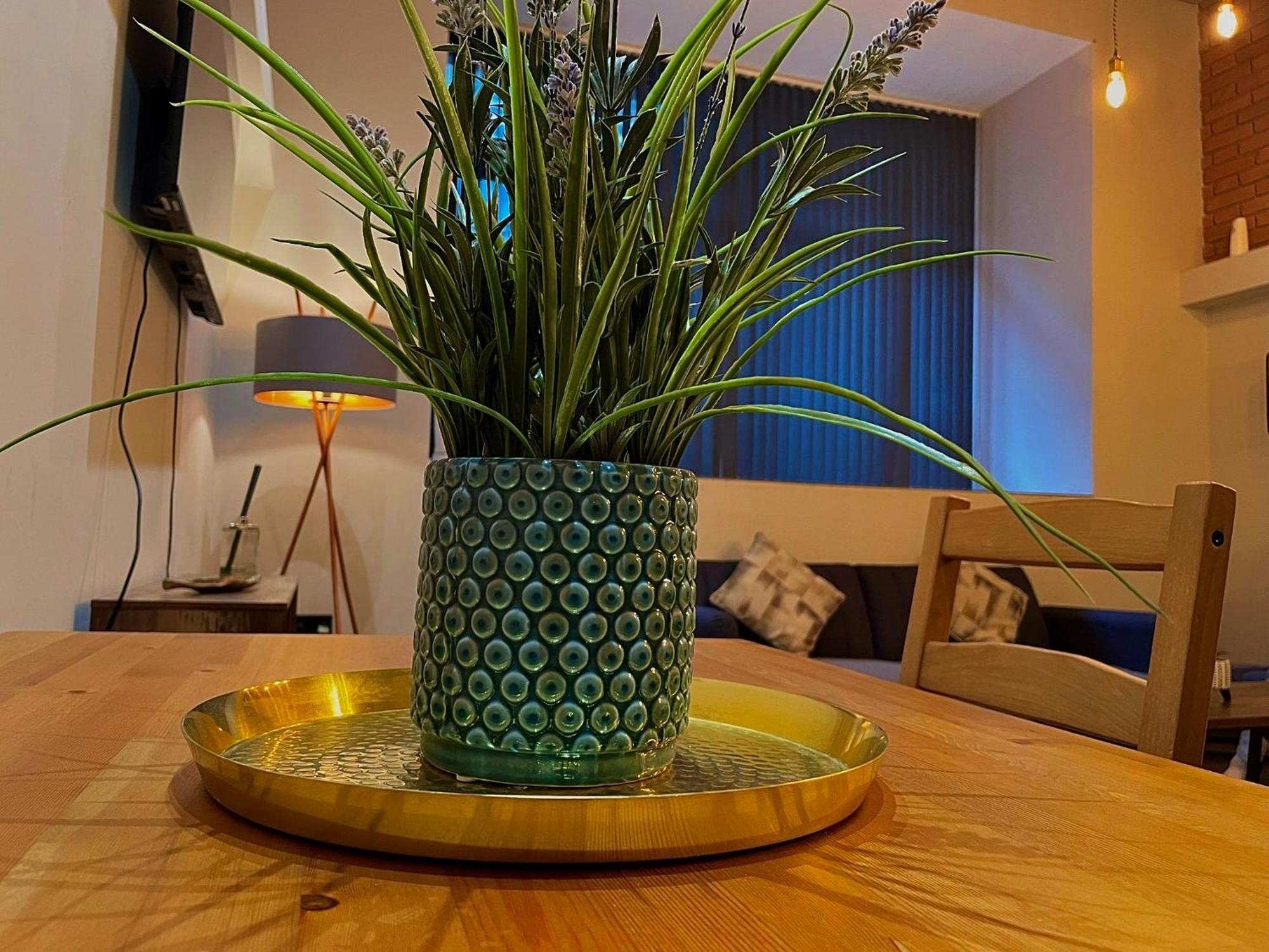 Artistic, Cozy, Stylish, Open Plan, Centre 1br Apartment Sheffield