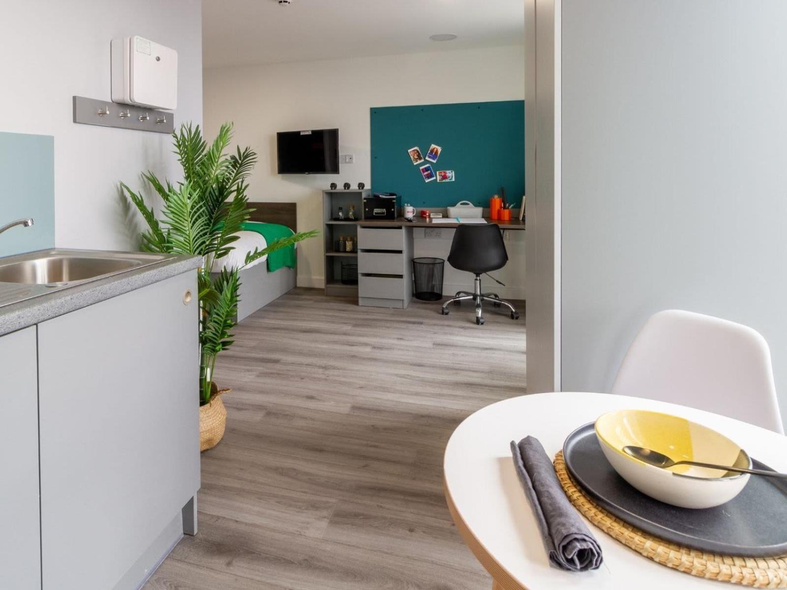 For Student Only Ensuites And At The Gate Near Centre Sheffield