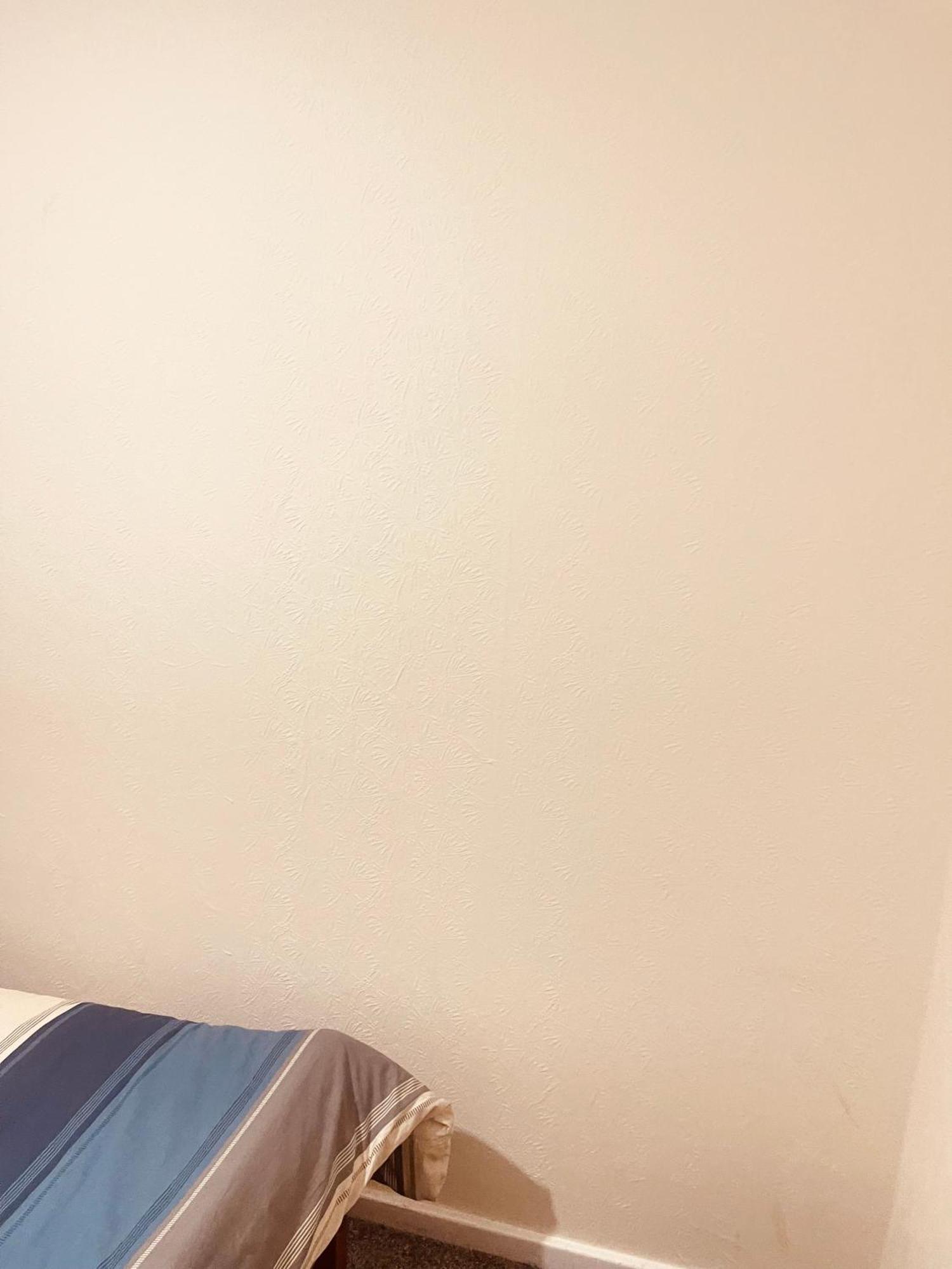 Tidy And Quiet Flat