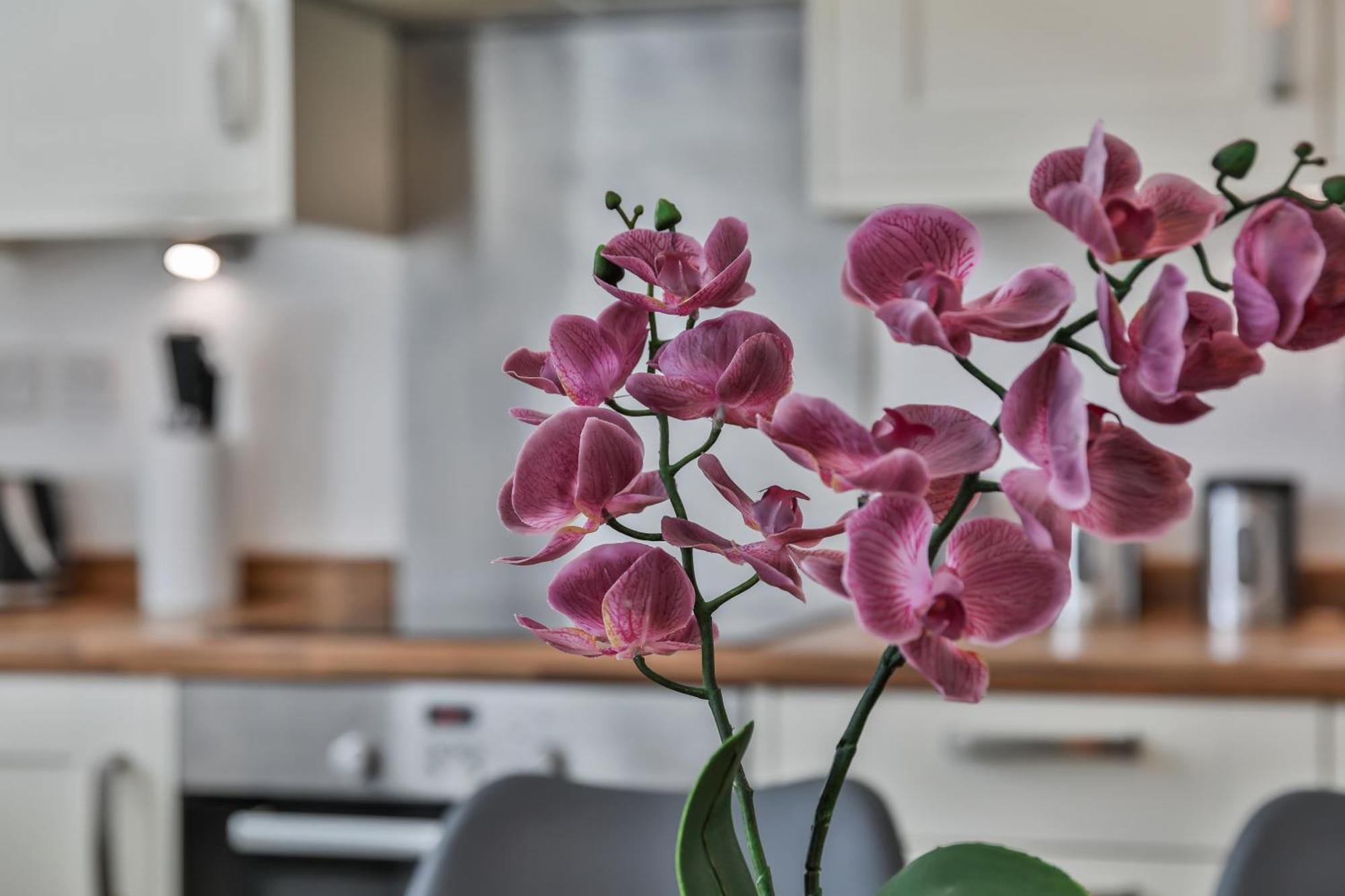 Heart Of The City-flexi Cancellations-central Hub Holiday home