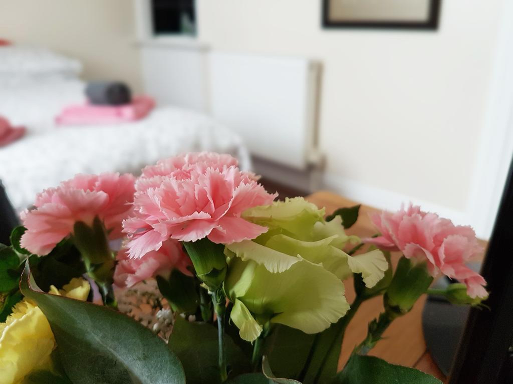 Alara Guest house