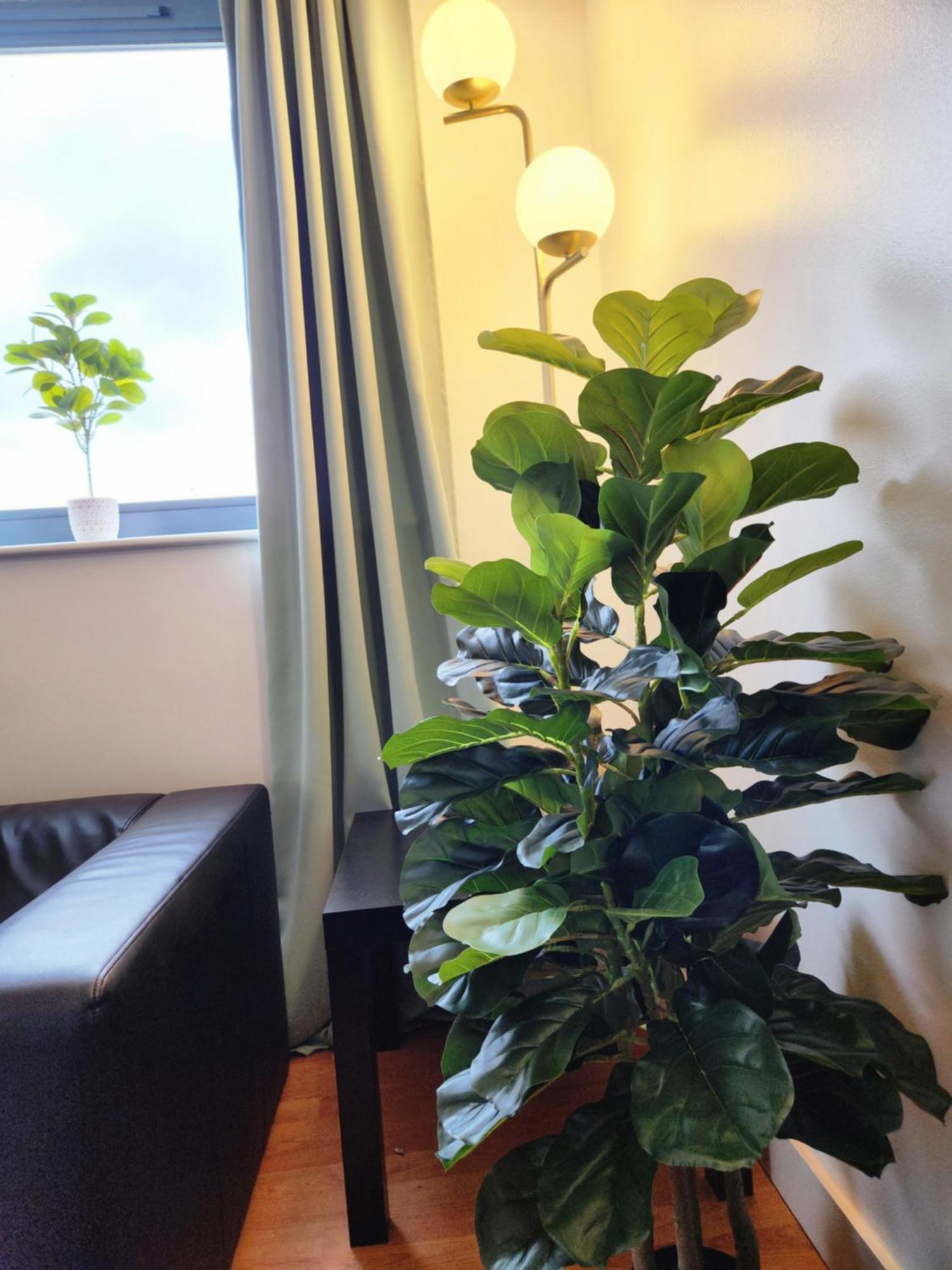 Apartment Centre 2 Bed & 2 Bath With Free Secured Parking Near And Hospital