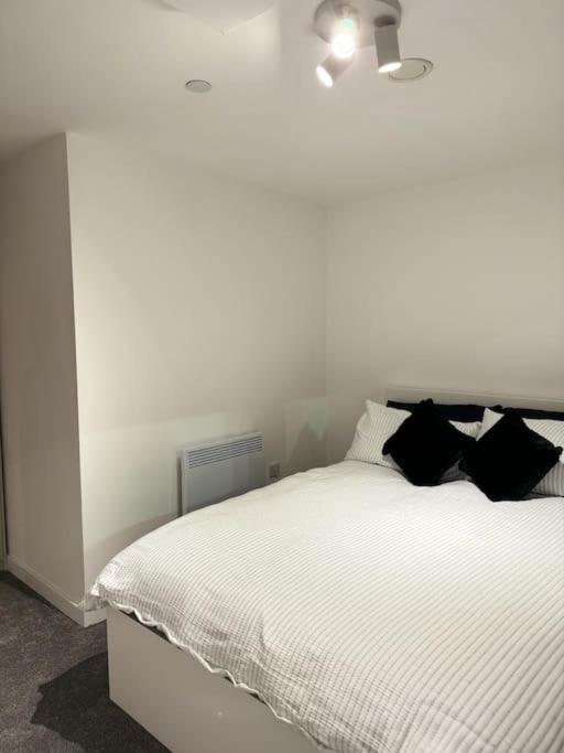 Apartment Stylish Escape