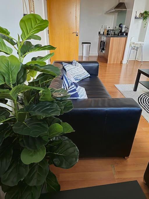 Centre 2 Bed & 2 Bath With Free Secured Parking Near And Hospital Apartment *