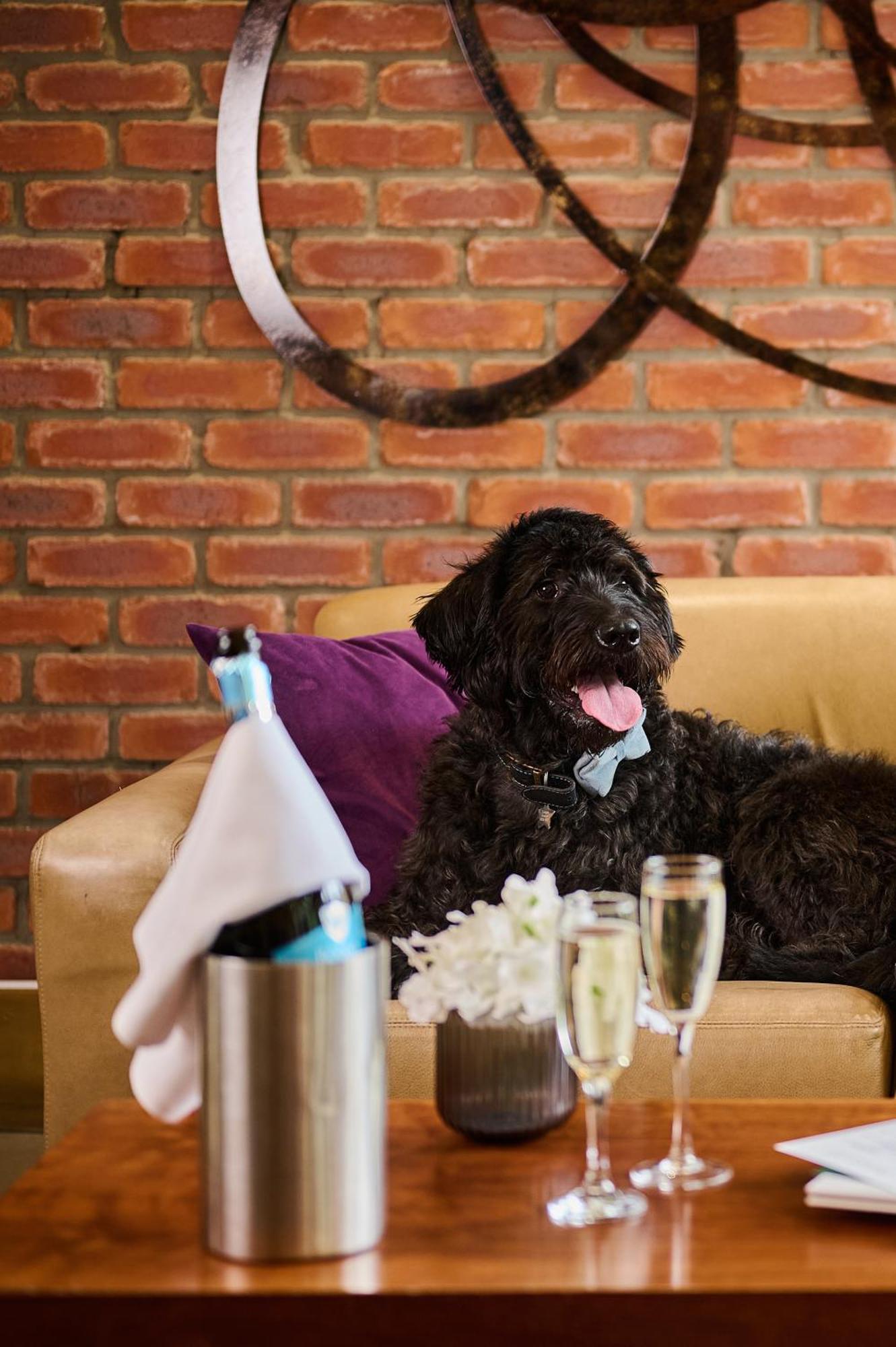 The Rutland Hotel 3*