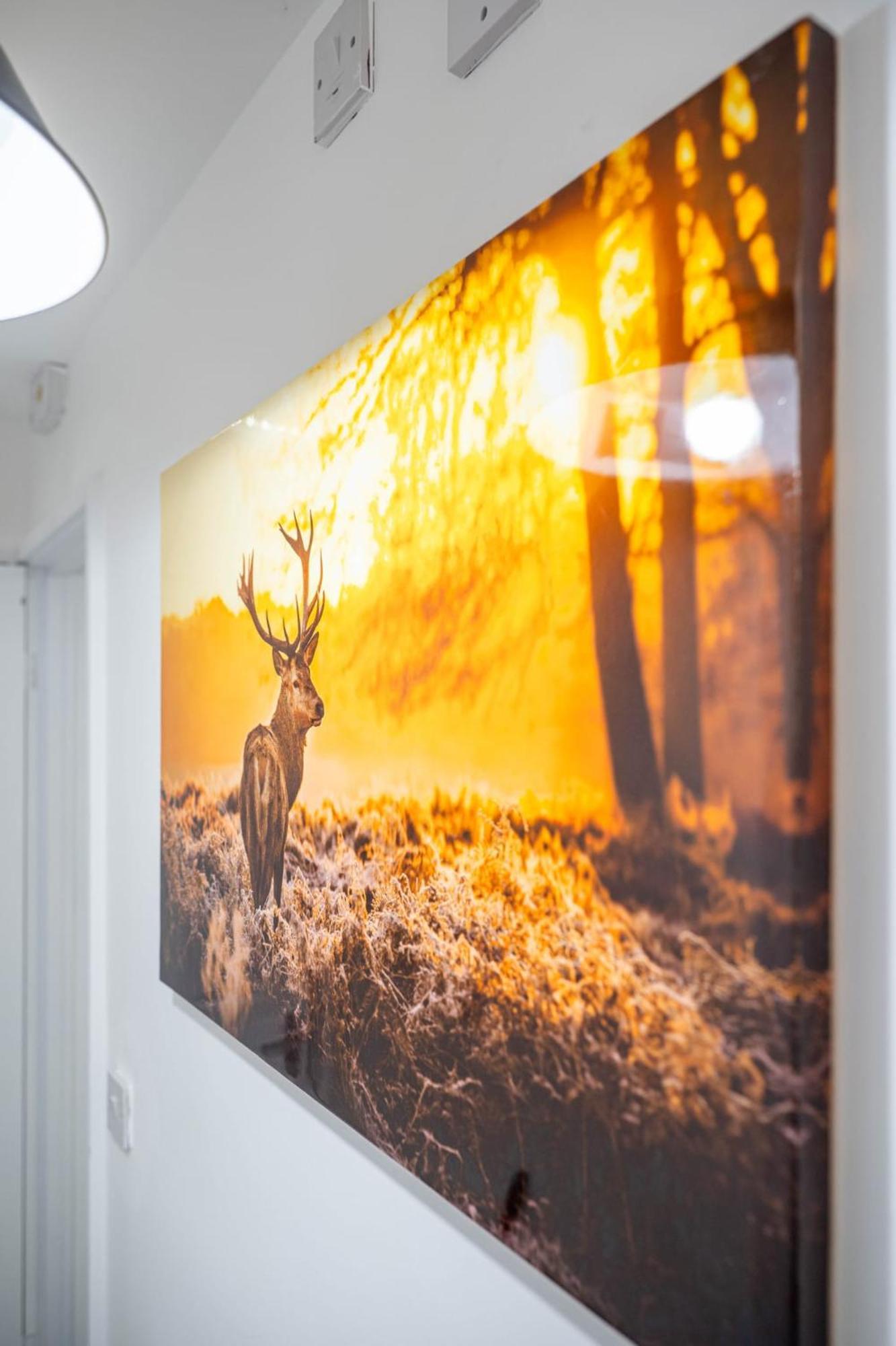 Luxurious In Holiday home Sheffield