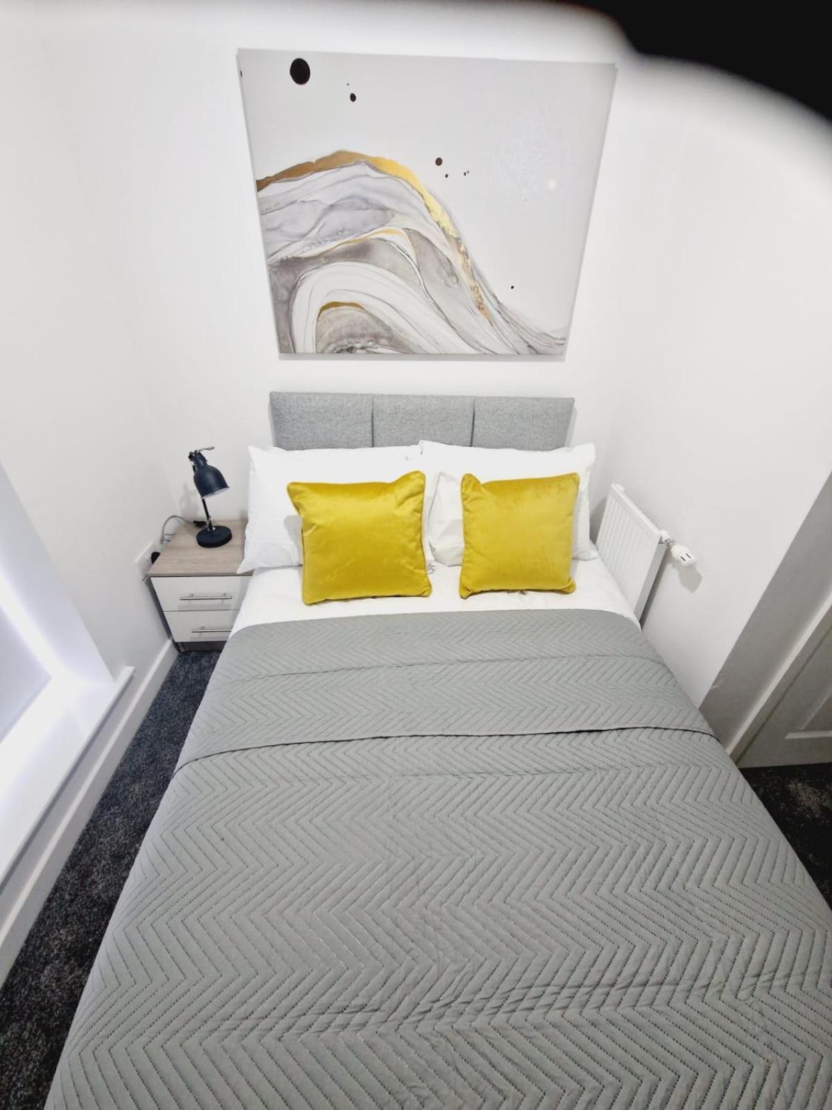 Spacious Luxurious Serviced 4 Guest house Sheffield