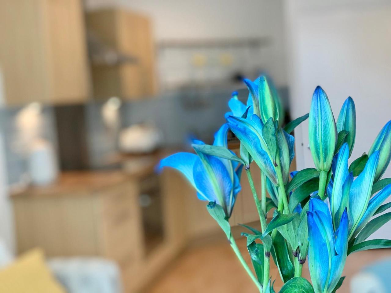 Broughton House Apartment Sheffield
