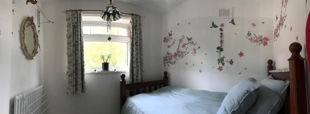 Guest house Ying's International Family *